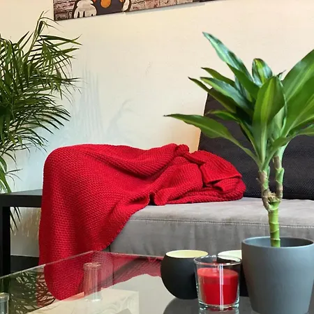 Fully Furnished 1br Next To Uni.lu Appartement
